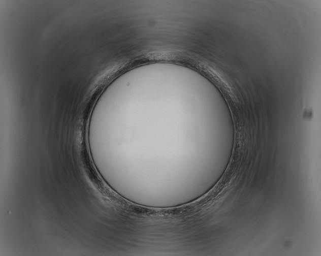 X0000097660586200802290924