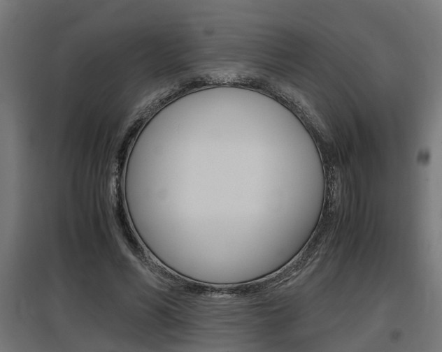 X0000097660590200802290924