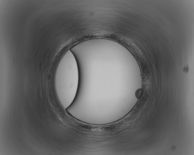 X0000097660591200802290924