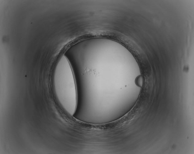 X0000097660592200802290924