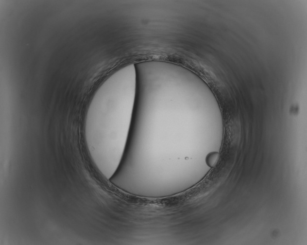 X0000097660594200802290924