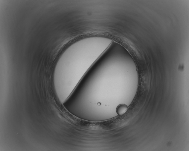 X0000097660596200802290924