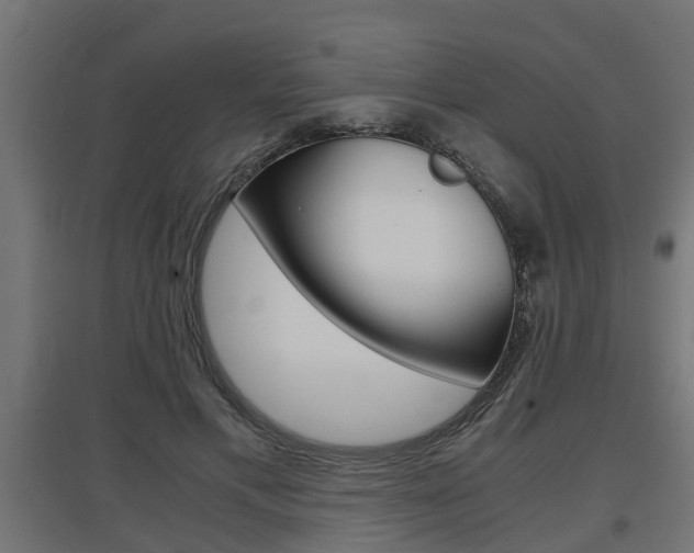 X0000097660597200802290924