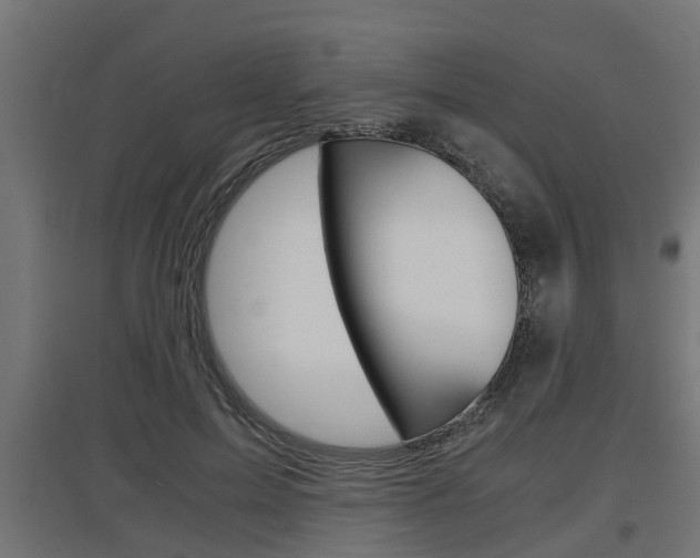 X0000097660599200802290924