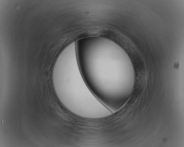 X0000097660601200802290924