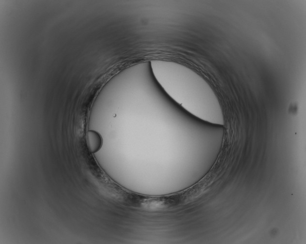 X0000097660602200802290924