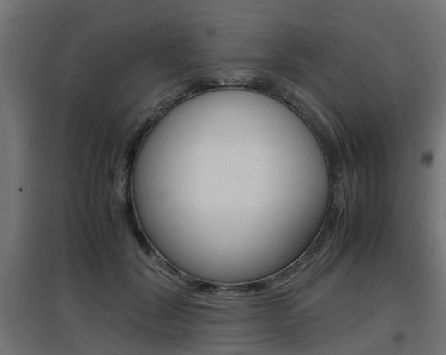 X0000097660604200802290923