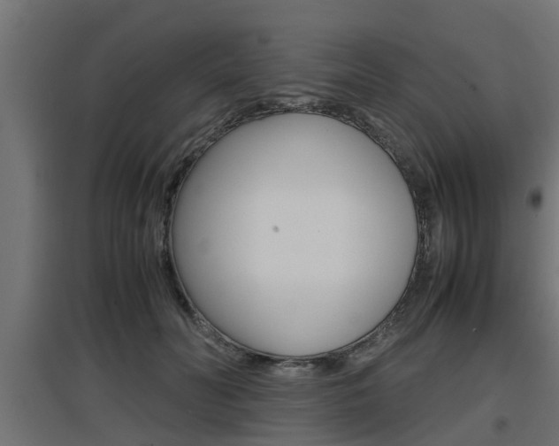 X0000097660606200802290923