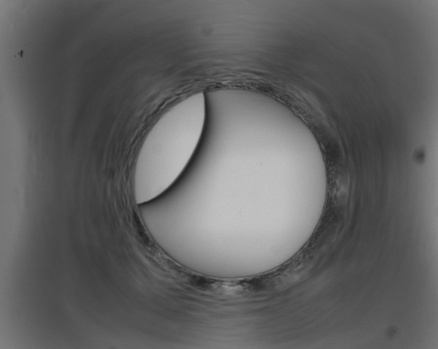 X0000097660607200802290923