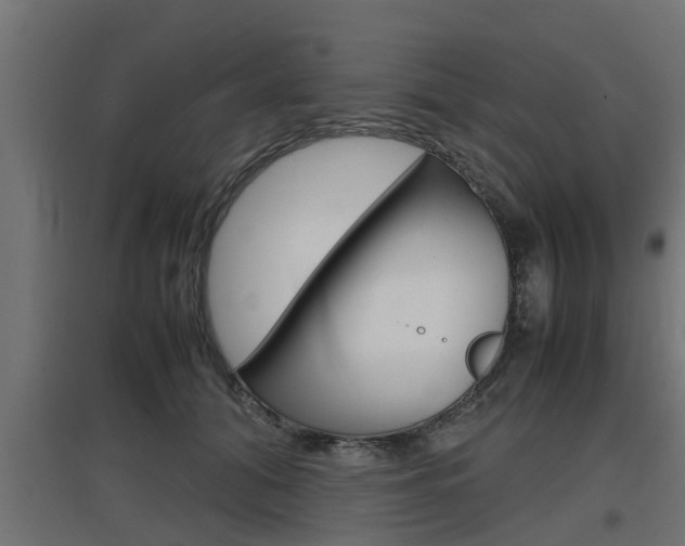X0000097660608200802290923