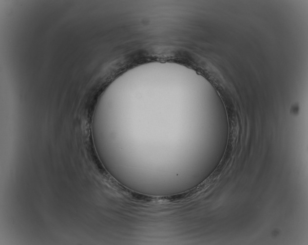 X0000097660609200802290923