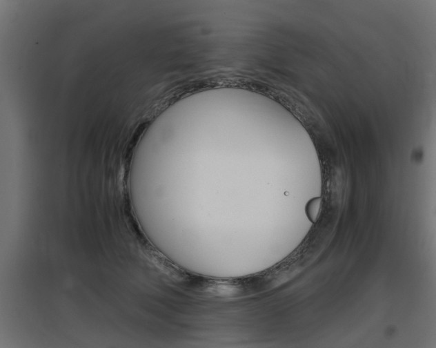 X0000097660610200802290923