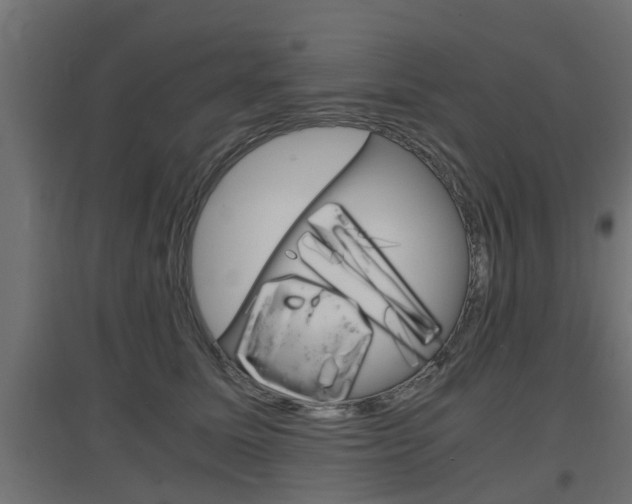 X0000097660611200802290923