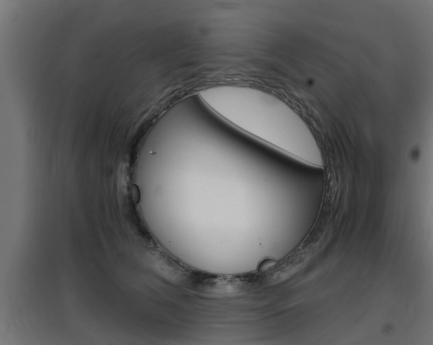 X0000097660612200802290923