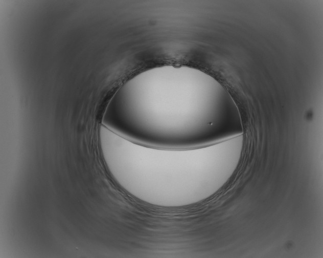 X0000097660613200802290923
