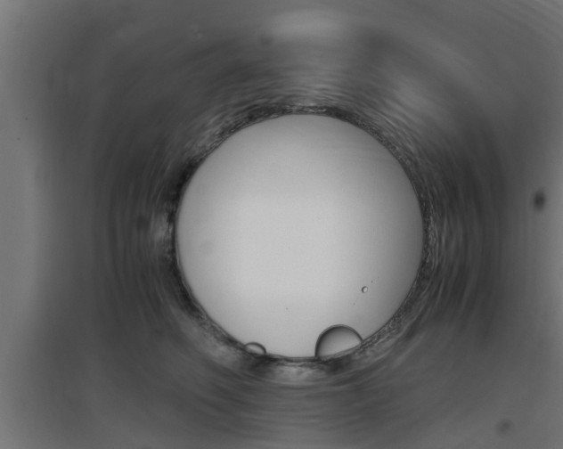X0000097660614200802290923