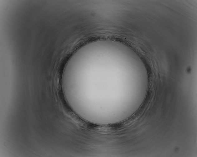 X0000097660615200802290923