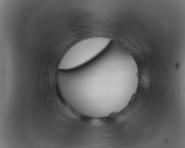 X0000097660616200802290923