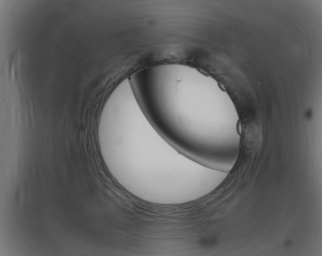 X0000097660617200802290923