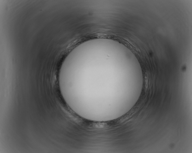 X0000097660618200802290923