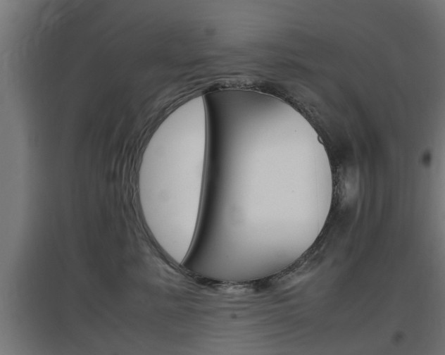 X0000097660619200802290923