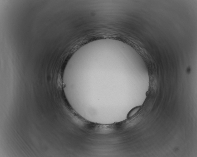 X0000097660622200802290923