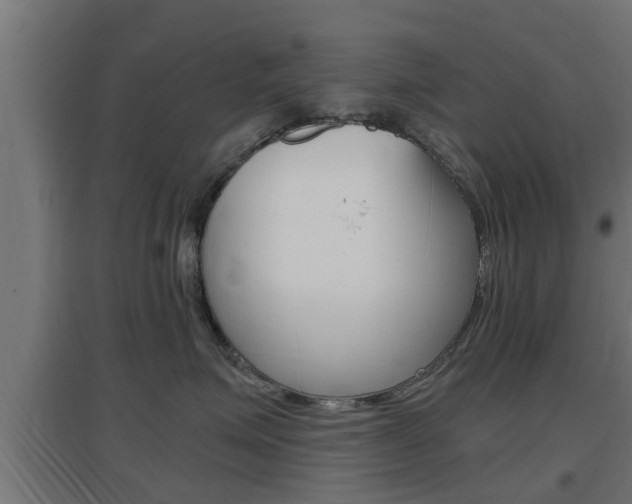X0000097660623200802290923