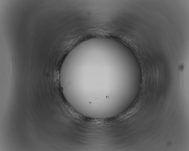 X0000097660624200802290923