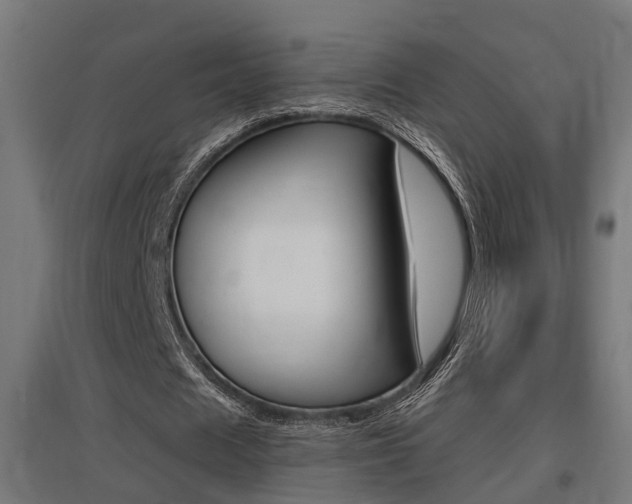 X0000097660625200802290922