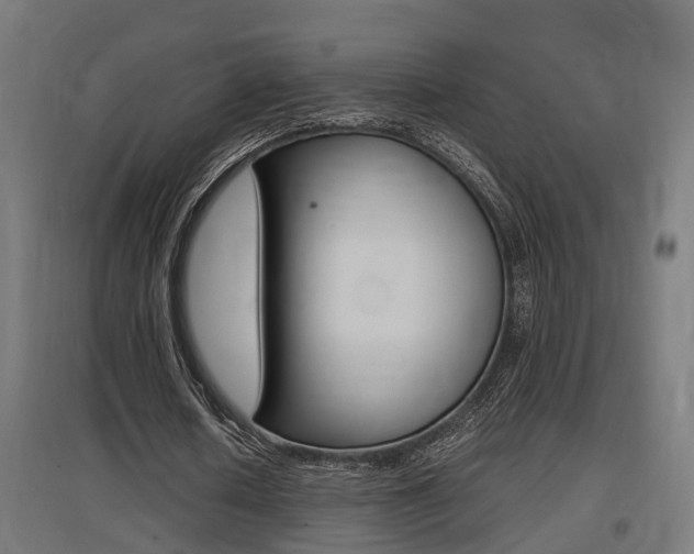 X0000097660626200802290922