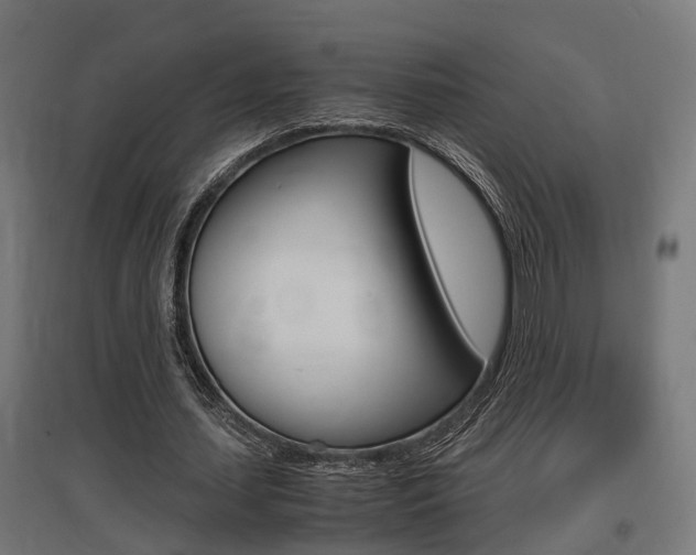 X0000097660627200802290922