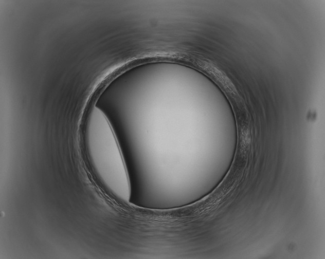 X0000097660628200802290922