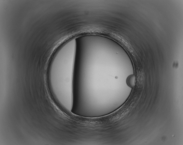 X0000097660629200802290922
