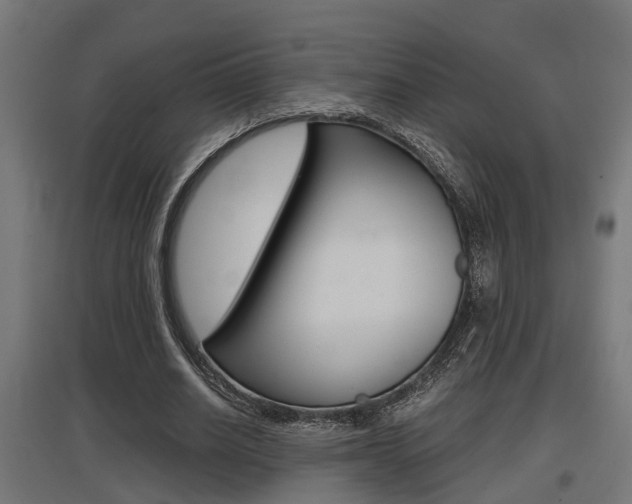 X0000097660630200802290922