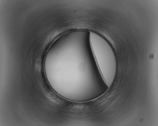 X0000097660631200802290922