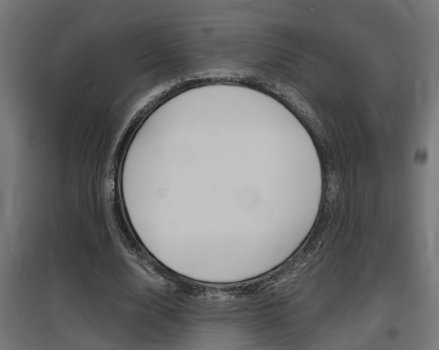 X0000097660632200802290922