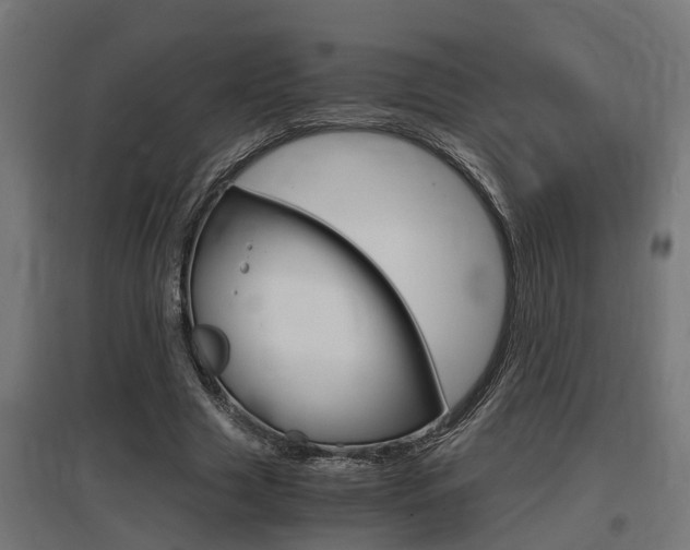 X0000097660633200802290922