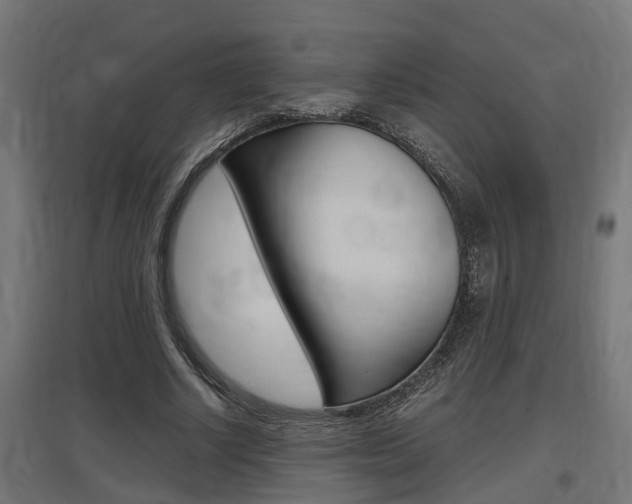 X0000097660634200802290922