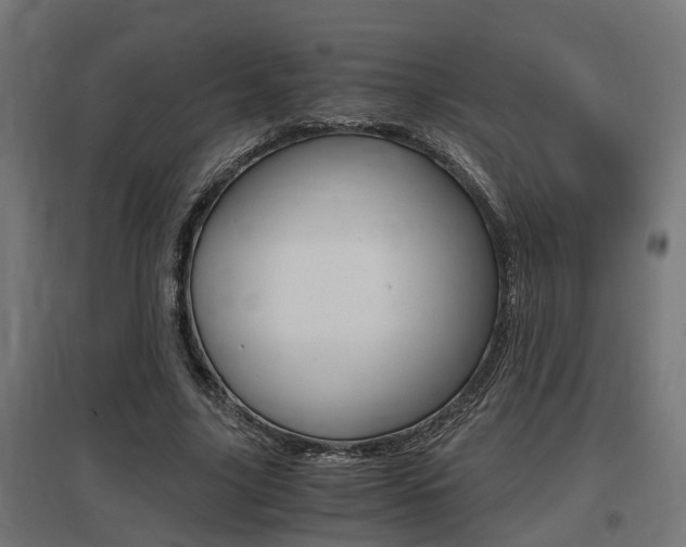 X0000097660635200802290922
