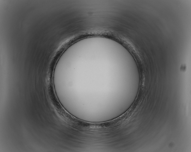 X0000097660636200802290922