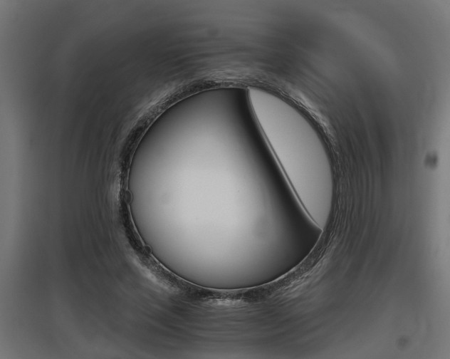 X0000097660637200802290922