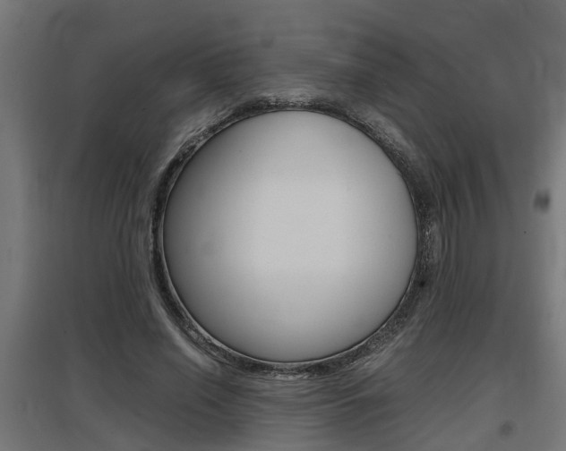 X0000097660638200802290923