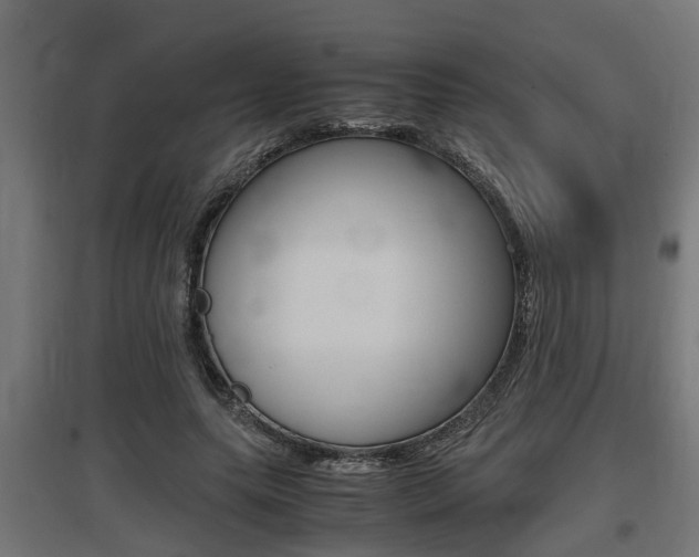 X0000097660639200802290923
