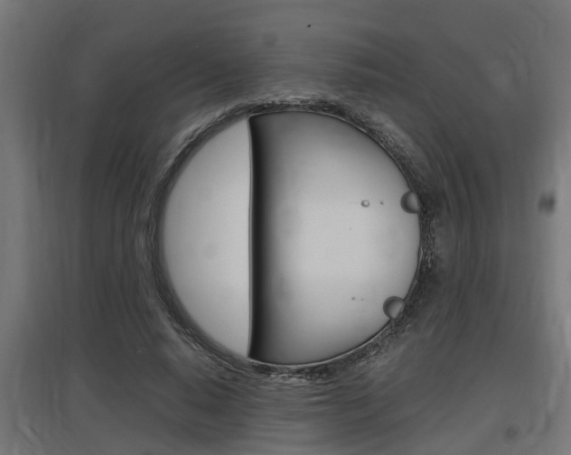 X0000097660640200802290923