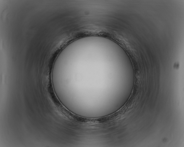 X0000097660642200802290923