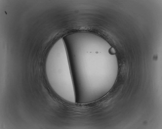 X0000097660643200802290923
