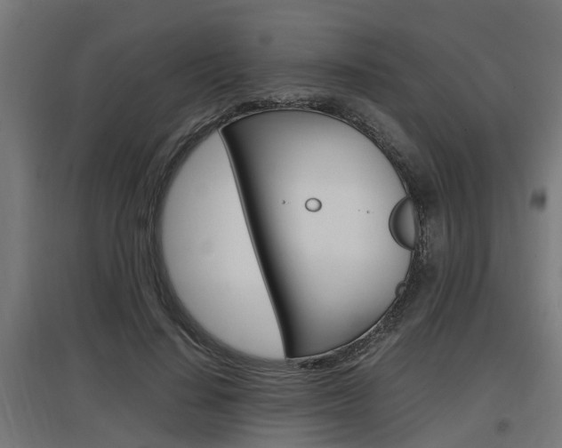 X0000097660644200802290923