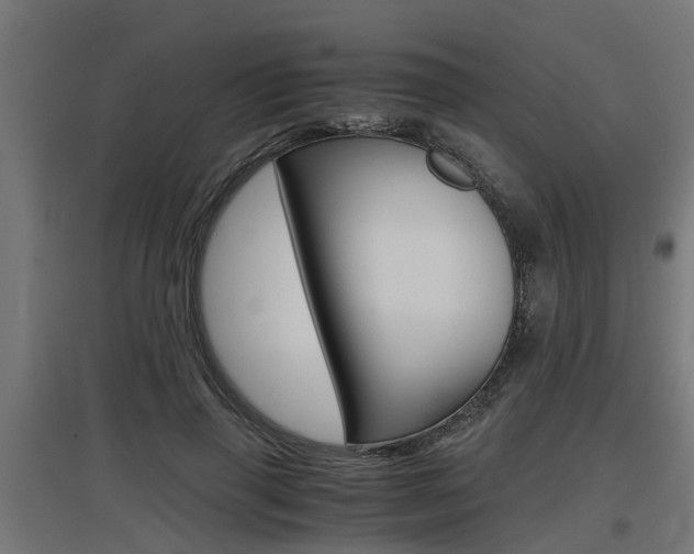 X0000097660645200802290923