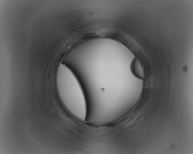X0000097660646200802290923