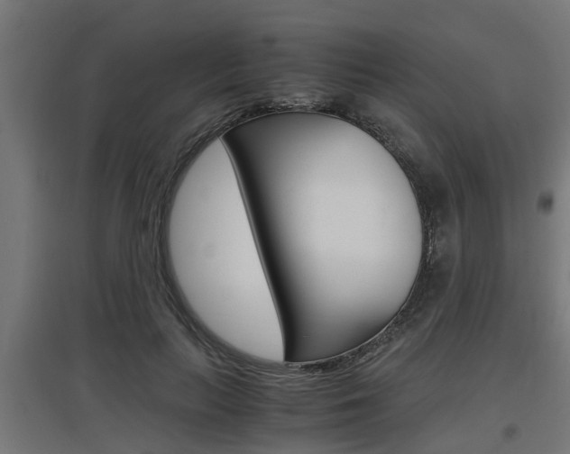 X0000097660647200802290923